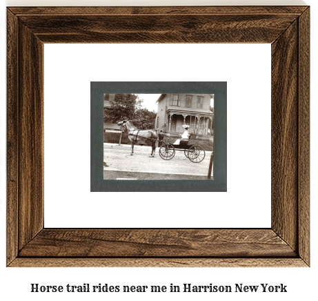 horse trail rides near me in Harrison, New York